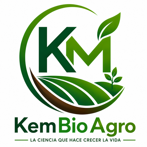 Mi tienda